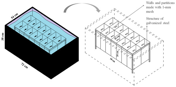 Schematic representation of the isolation apparatus used in Experiment 2.