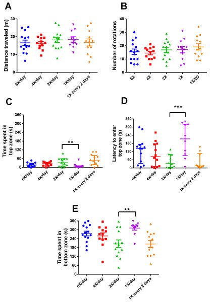 Behavioral variables of zebrafish in the novel tank test in different feeding frequencies for 15 days.