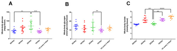 Intermediary metabolic variables of zebrafish fed at different feeding frequencies for 15 days.