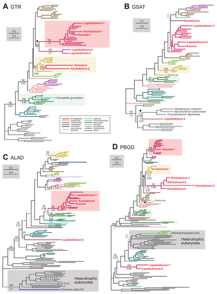 Maximum-likelihood phylogenies of 4 proteins involved in the C5 pathway for the heme biosynthesis