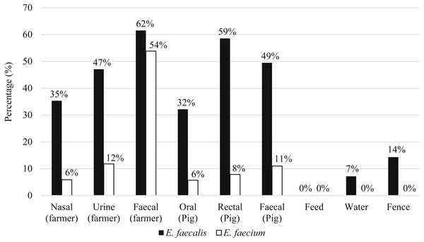 Percentage of distribution of E. faecalis and E. faecium in each sample matrix.