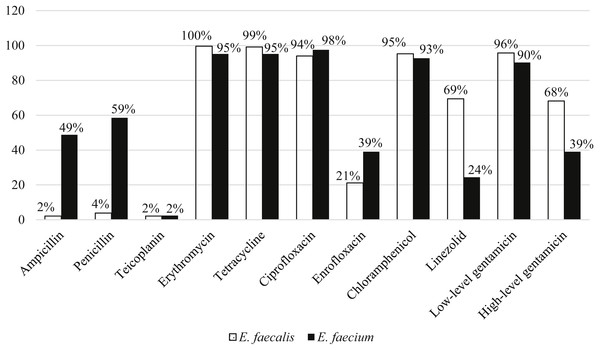 Percentage of antibiotic resistance of E. faecalis and E. faecium in this study.