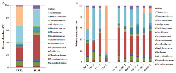 Relative abundance (%) of the overall most prevalent bacterial families in the gut of (A) all, and (B) individual fish fed with CTRL and Sh108 diets.