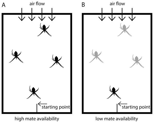 Scheme of experimental set-up.