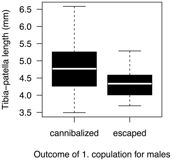 Male size effect on sexual cannibalism.