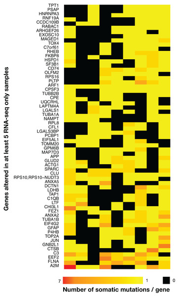 Heatmap of the 63 most widely mutated genes across TCGA samples in RNA-seq-only.