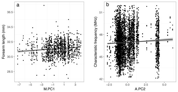 Relationships between forearm length (A) and characteristic frequency (B) and the principal components resulting from PCA (PC1 and PC2) that were found to be significant in linear mixed-effects models.