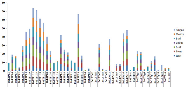 Different transcript levels of duplicated BoLTP genes.