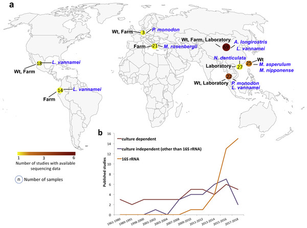 Geographic and year distribution of studies about shrimp microbiota.