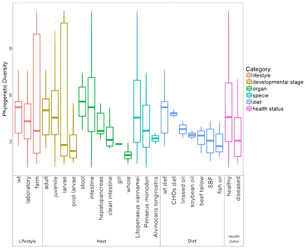 Alpha diversity of microbiota samples from marine shrimps.