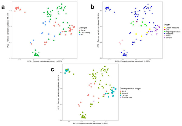 Beta diversity analysis of microbiota samples from marine shrimps.