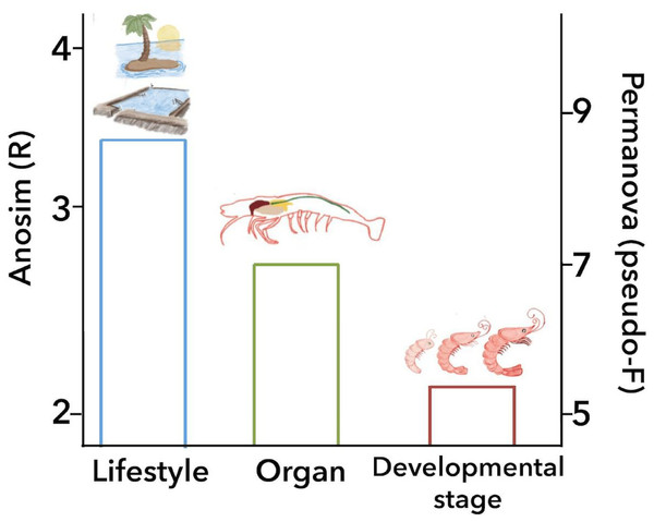 Principal biological factors that drive the microbiota variation in marine shrimps.