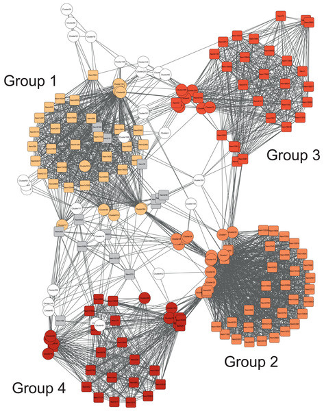 Association network of the nematode and bacteria communities.