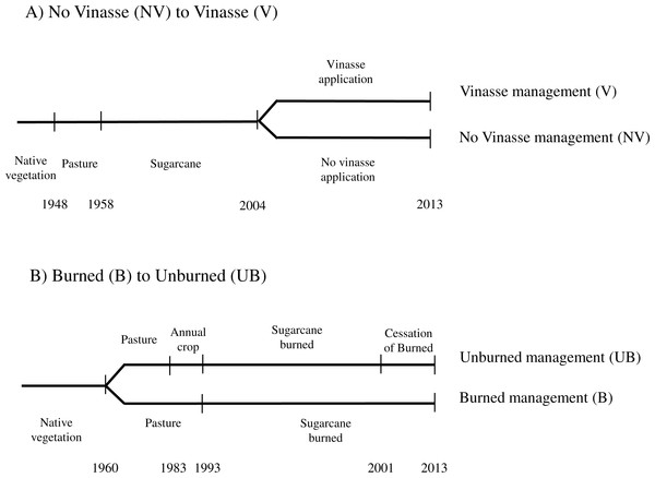 Timeline of land use and management changes at each site assessed (A) No Vinasse to Vinasse, (B) Burned to Unburned.