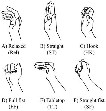 Deformation of the median nerve at different finger postures and wrist ...