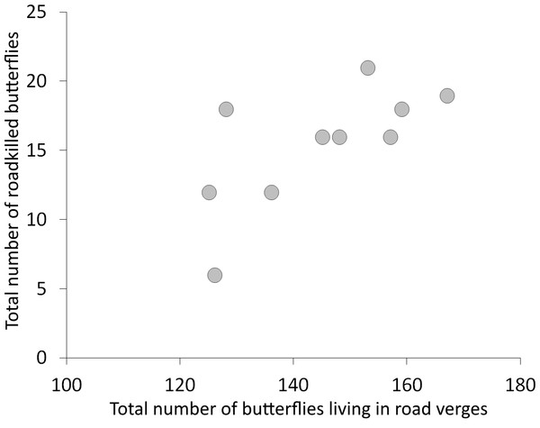 Correlation between the number of butterflies living in road verges and the number of roadkilled butterflies.