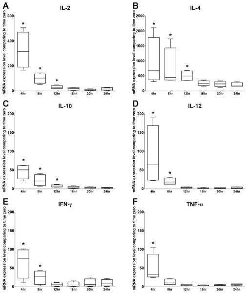 Time kinetics of mRNA expression levels of (A) IL-2, (B) IL-4, (C) IL-10, (D) IL-12, (E) IFN-γ and (F) TNF-α of cPBMCs with ConA.