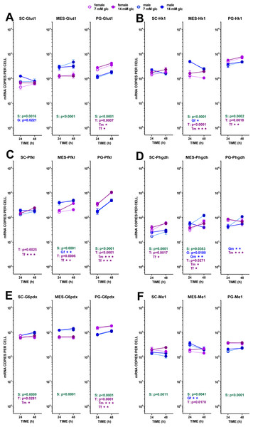 Expression of genes related with the metabolism of glucose, lipogenesis and 3C handling in adipocytes of male and female adult rats incubated in the presence of 7 mM or 14 mM glucose (I).
