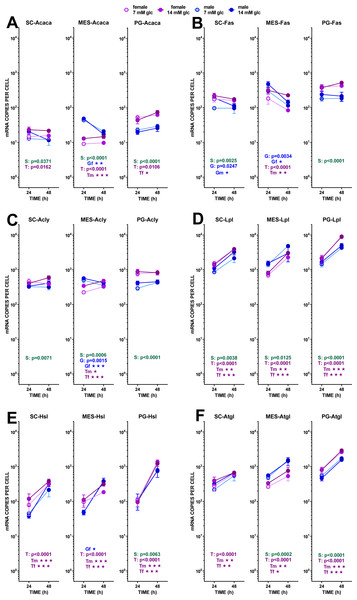 Expression of genes related with the metabolism of glucose, lipogenesis and 3C handling in adipocytes of male and female adult rats incubated in the presence of 7 mM or 14 mM glucose (IV).