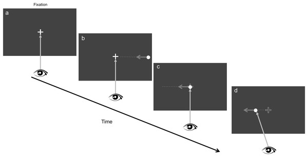 Stimulus display and procedure.