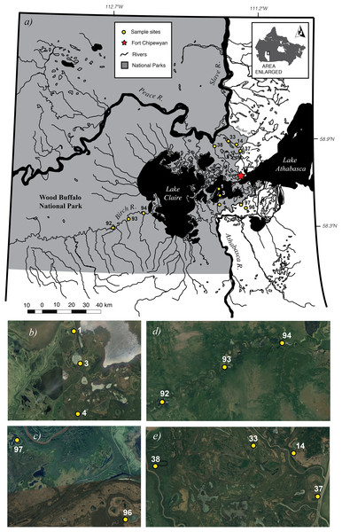 Map of 12 study sites (A). Close-up views of each of the four sub-basins Cree-Mamawi Creek (B), Embarras (C), Birch (D), and Peace (E) in the Peace–Athabasca Delta (PAD) in northeastern Alberta, Canada.