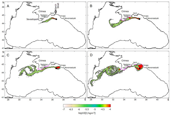 Successive phases of oil slick development under the influences of the Rim Current, NCEP winds and the Caucasian near-shore anticyclonic eddy.