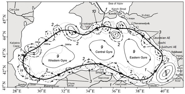 Schematic of the Black Sea circulation (modified from Korotenko (2016)).