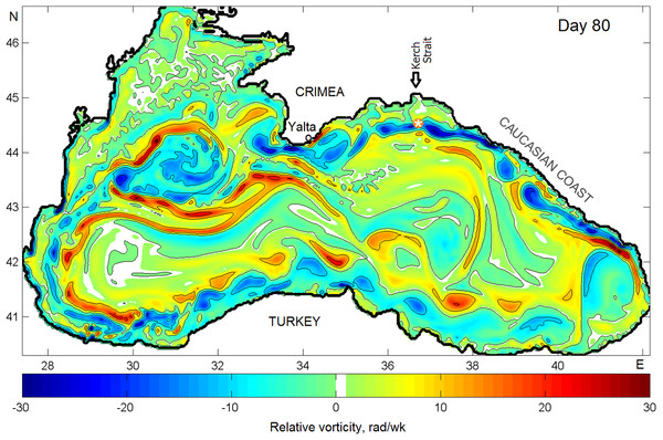Snapshots of the relative vorticity in the Black Sea on Julian day 80 of model year 24.