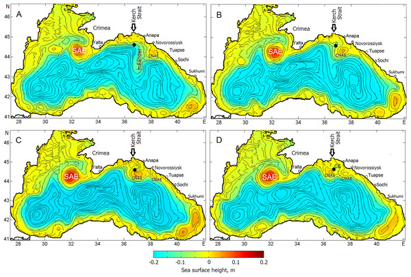Sea surface height and streamlines indicating the evolution of the Caucasian anticyclonic meander and CNAEs embedded in the Rim Current.