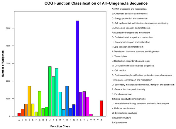 COG functional classification of unigenes identified from the R. arvalis oviduct unigenes.