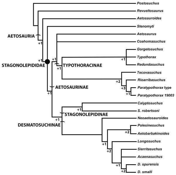 Alternate phylogenetic hypothesis of the Aetosauria of Hoffman, Heckert & Zanno (2018) with clade names and decay indices for each node.