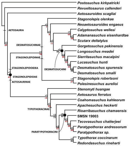Phylogenetic Analysis of the Aetosauria.