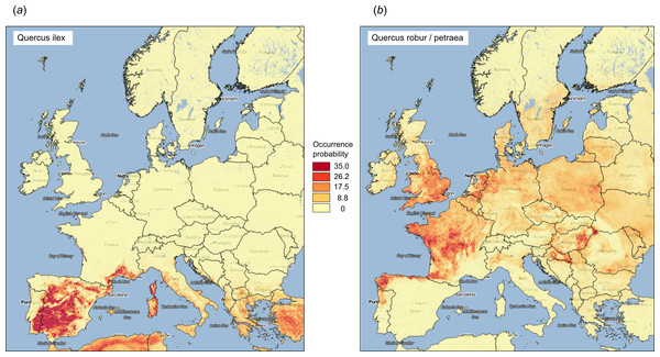Examples of predicted PNV distributions (probabilities) for European forest tree species (A) Quercus Ilex (GBIF ID: 2879098; 36,724 training points) and (B) Quercus robur/petraea (GBIF ID: 2878688; 404,296 training points).