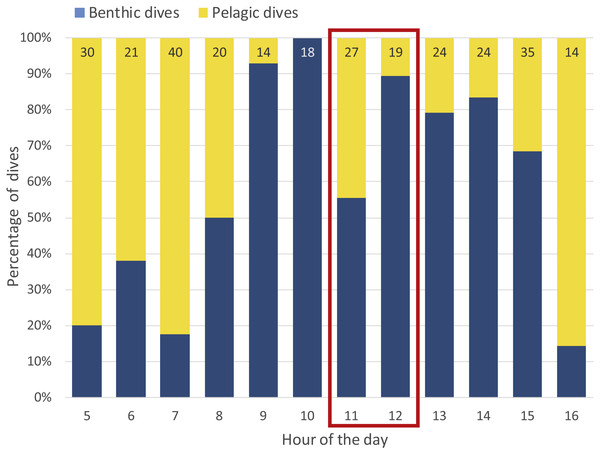 Proportion of benthic and pelagic dives throughout the yellow-eyed penguin’s foraging trip while fitted with a camera logger.