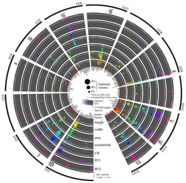 The 252 cranberry QTL identified for fruit shape and size in a 3-year period.