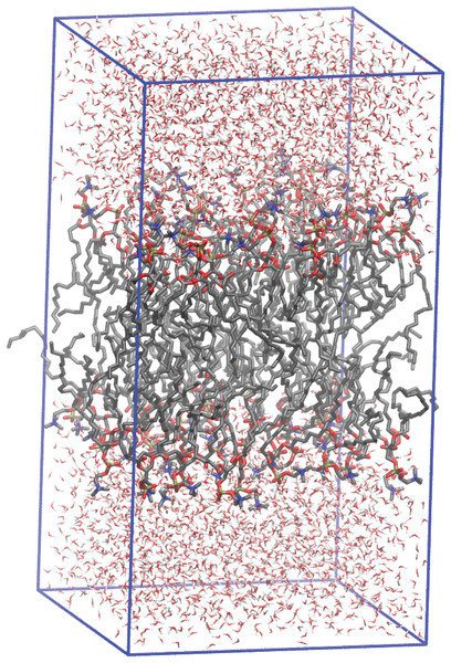 A rendering of the simulation cell used in the simulations of POPC.