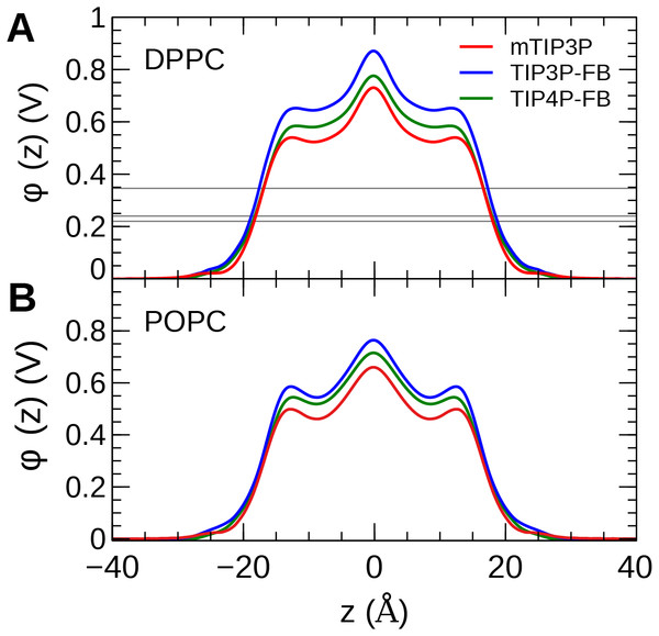 The membrane dipole potential (ϕ) calculated for the three water models of (A) DPPC and (B) POPC lipid bilayers.