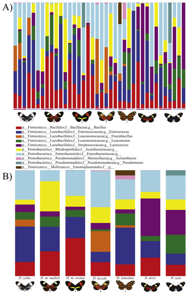 Distribution of Bacterial OTUs across individuals (A) and species (B).