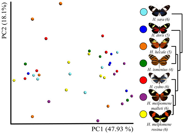Beta diversity comparisons by Principal Coordinate Analyses (weighted Unifrac) indicates a slight, yet significant, separation according to species.