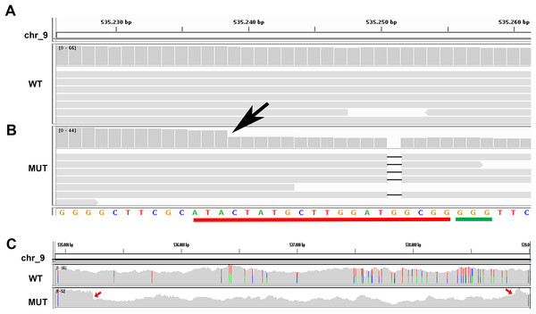 Whole genome resequencing analysis.