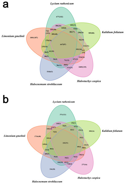 Venn diagram showing the OTUs shared among different samples.