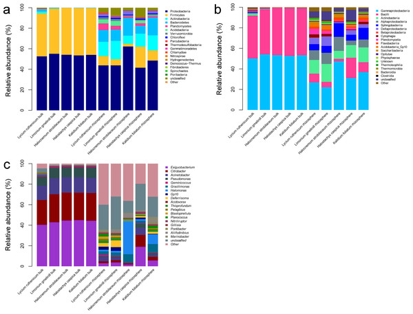 Diagrams depicting community composition and relative abundance at different taxonomic level.