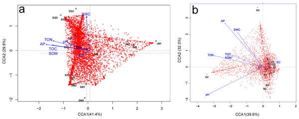 Canonical correspondence analysis (CCA) of the effect of soil properties on bacterial community structure in the rhizosphere (A) and bulk soil samples (B).