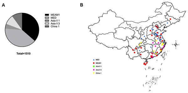 The quantity and distribution of B. tabaci cryptic species in China.