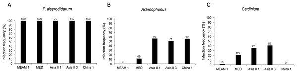 Infection frequency of endosymbionts in five B. tabaci cryptic species.