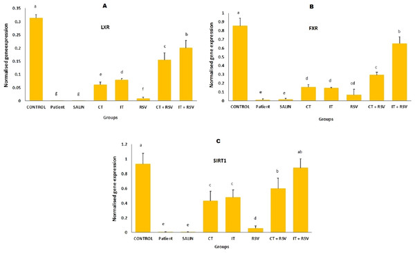 Comparison of the mean mRNA levels of LXR, FXR, and SIRT1 were detected by RT-PCR.