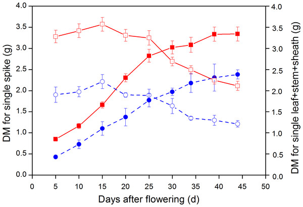Dynamic changes in dry weight (DW) of single spike and leaf + stem + sheath in large-spike lines and CK (Xi’nong 979).