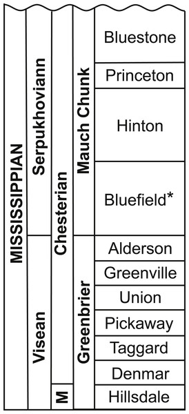 Stratigraphic column detailing the Mauch Chunk Group and the Bluefield Formation of West Virginia.