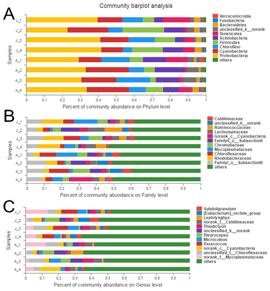 Relative abundance of bacterial communities in R. auricularia samples.