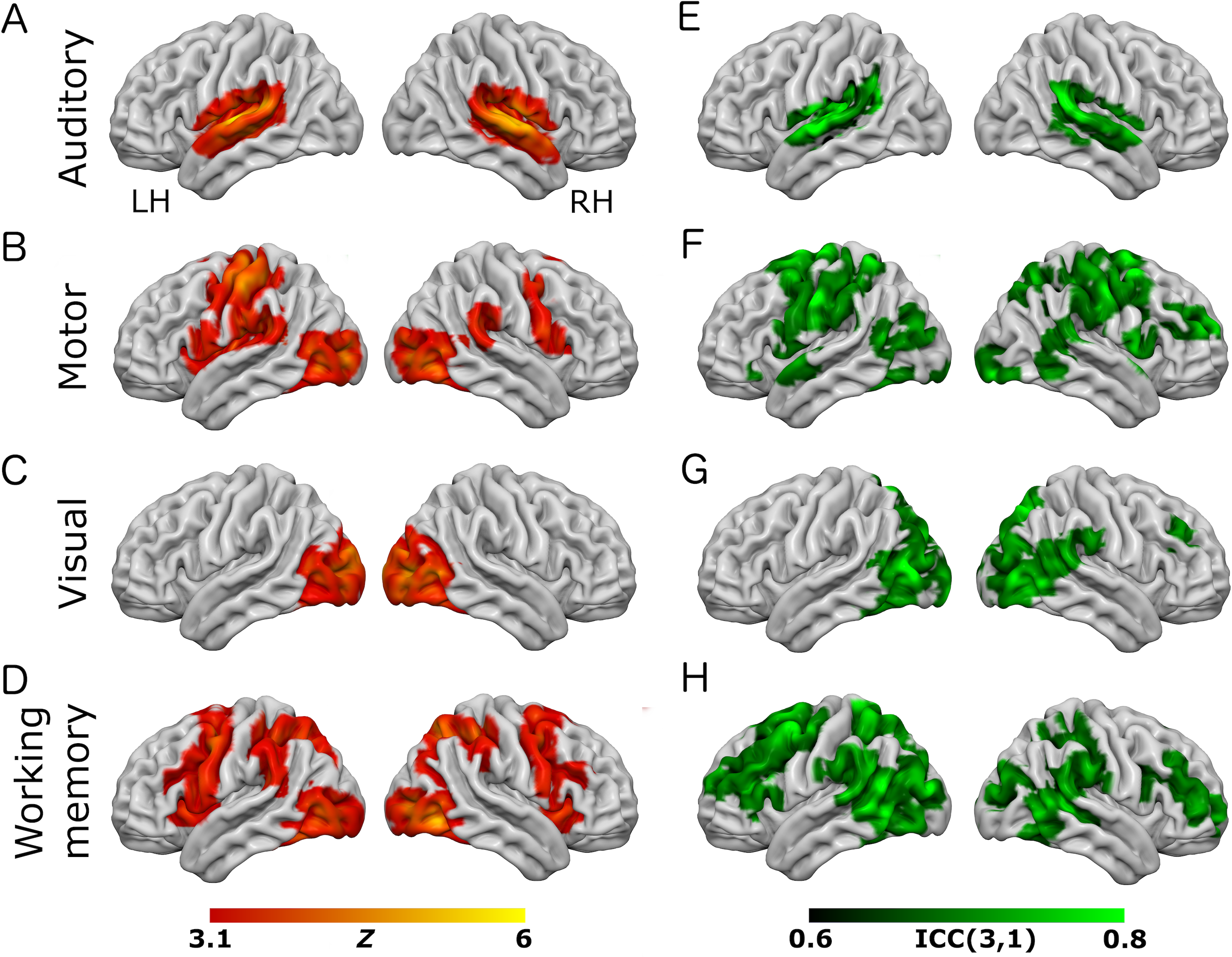 ubemandede automatisk Ekspert A short, robust brain activation control task optimised for pharmacological  fMRI studies [PeerJ]